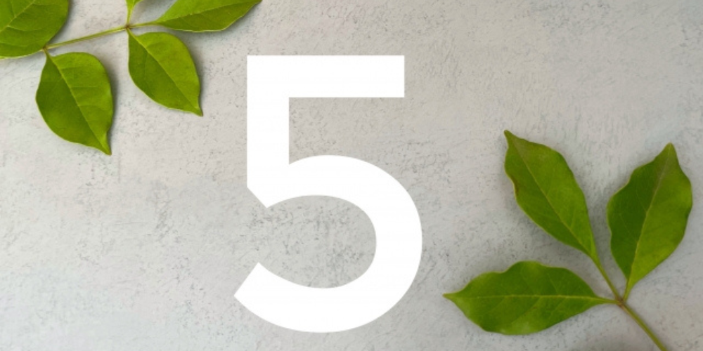 緑の葉とともに、中央に大きく白抜きで「5」と表示されたイメージ。