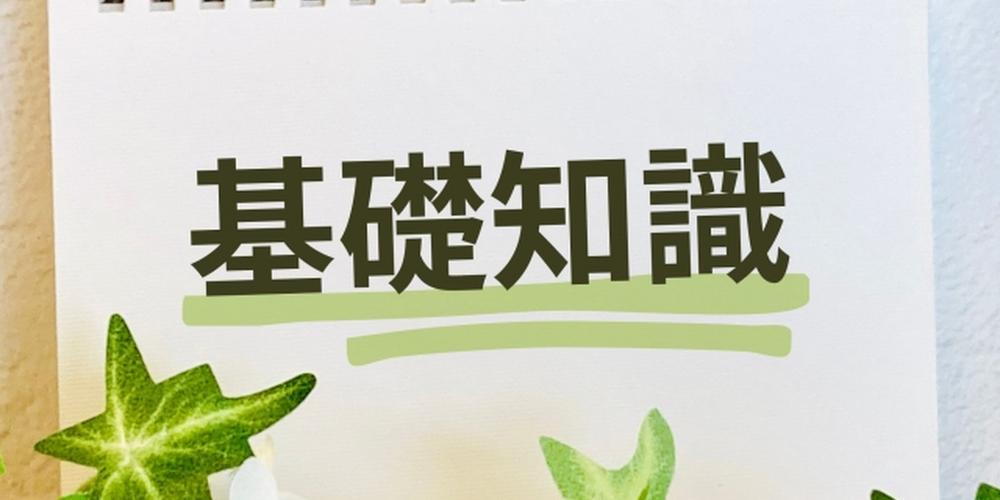 「“基礎知識”と書かれたメモ帳と、手前に飾られた緑のアイビー」