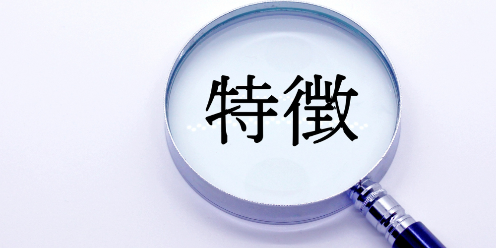 虫眼鏡で拡大された「特徴」の文字