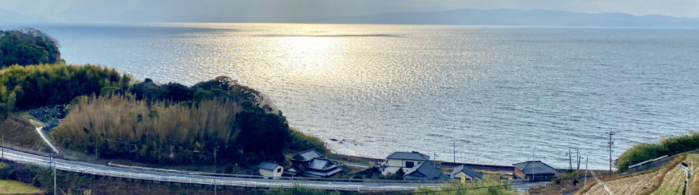 遠くの海面に太陽光が反射し、手前の岬と数軒の住宅・道路が見えるパノラマビュー