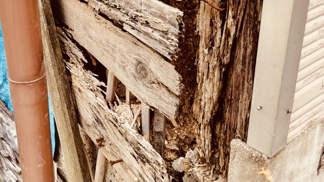 シロアリの被害にあった戸建て